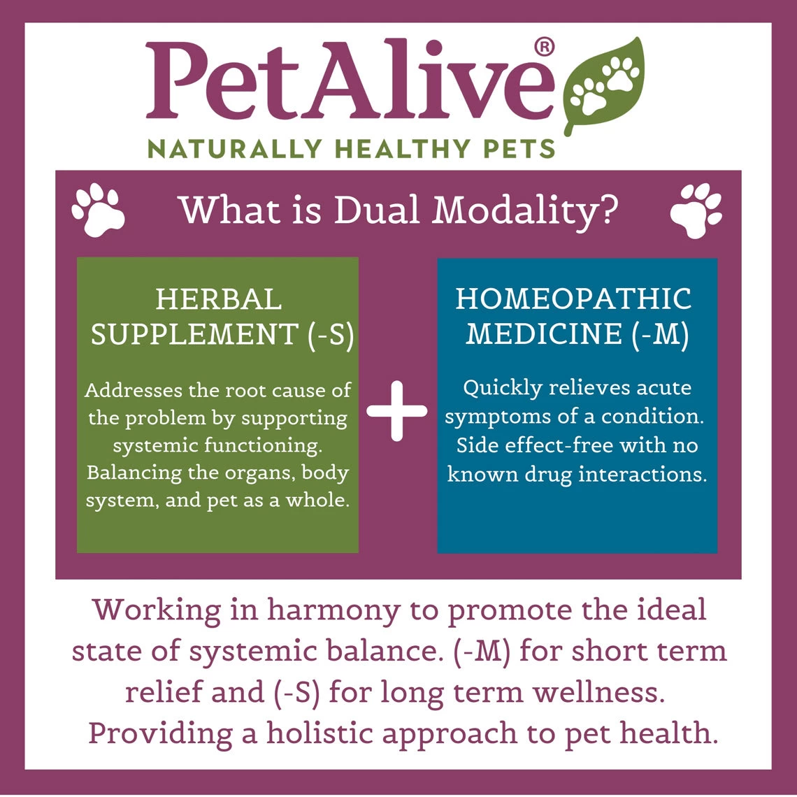 PetAlive Cushex Drops M Homeopathic Remedy For Cushing's 5 PetAlive Cushex Drops M Homeopathic Remedy For Cushing's - Image 5