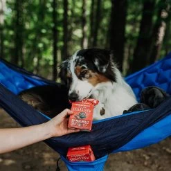 Stella & Chewy's Stew Wet Food For Dogs Case Of 12 -Pet Dog Supplies 37337197 2125855344339437 3969478108620259328 n