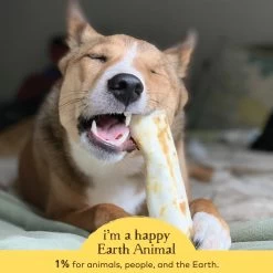 Earth Animal No-Hide Peanut Butter Single Chew For Dogs -Pet Dog Supplies 812121031340 ALT4