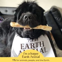 Earth Animal No-Hide Peanut Butter Single Chew For Dogs -Pet Dog Supplies 812121031395 ALT4