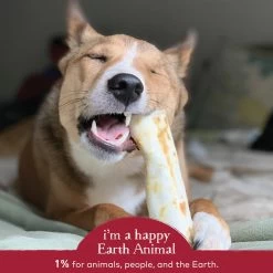 Earth Animal No-Hide Beef Single Chew For Dogs -Pet Dog Supplies 853965006095 ALT4