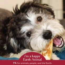 Earth Animal No-Hide Beef Single Chew For Dogs -Pet Dog Supplies 853965006149 ALT4