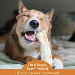 Earth Animal No-Hide Chicken Chew For Dogs -Pet Dog Supplies 857253003742 ALT4