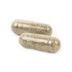 Ark Naturals Gentle Digest Probiotic Supplement For Dogs & Cats -Pet Dog Supplies ArkNaturalsGentleDigestCapsuleProduct