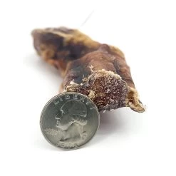 BarkNBig The Bullarge Beef Bully Stick Dog Chew -Pet Dog Supplies BarknBig Chubull Size