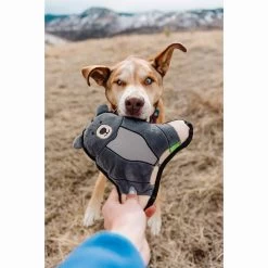 Only Natural Pet Mountain Friends Recycled Plush Dog Toys -Pet Dog Supplies BeatricetheBearMountainFriendsPlushDogToyLifestyleShot