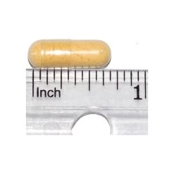 Only Natural Pet Ubiquinone CoQ10 Supplement For Dogs & Cats 13 Only Natural Pet Ubiquinone CoQ10 Supplement For Dogs & Cats -Pet Dog Supplies COQ10 Capsule Measured