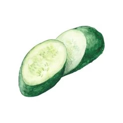 TrueBlue Safe & Sure Eye Wipes -Pet Dog Supplies Cucumber Eye Wipes