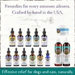 Earth Animal Herbal Topical Remedies Clean Ears Wash For Dogs 8 Earth Animal Herbal Topical Remedies Clean Ears Wash For Dogs -Pet Dog Supplies EarthAnimal CleanEars Alt2