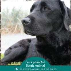 Earth Animal Herbal Topical Remedies Clean Eyes Wash For Dogs -Pet Dog Supplies EarthAnimal CleanEyes Alt3