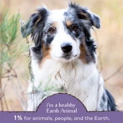 Earth Animal Healthy Weight Nutritional Supplement Powder For Cats & Dogs -Pet Dog Supplies EarthAnimal Weight Alt4