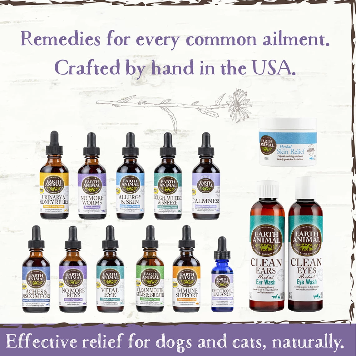 Earth Animal Organic Herbal Remedies No More Worms Tincture For Dogs 4 Earth Animal Organic Herbal Remedies No More Worms Tincture For Dogs - Image 4