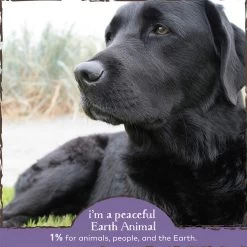 Earth Animal Organic Herbal Remedies No More Worms Tincture For Dogs 9 Earth Animal Organic Herbal Remedies No More Worms Tincture For Dogs -Pet Dog Supplies EarthAnimal Worms Alt3