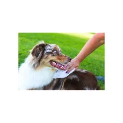 Earthbath Total Natural Pet Care Extra Thick Moist Towel Grooming Wipes For Dogs & Cats -Pet Dog Supplies Earthbath GroomingWipes Lifestyle