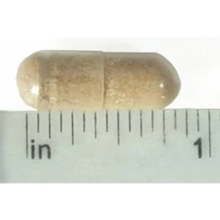 New Release -Pet Dog Supplies ImmuneStrengthenerCapsuleMeasured