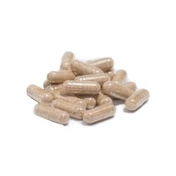 Only Natural Pet Immune Strengthener Support Supplement For Dogs & Cats -Pet Dog Supplies ImmuneStrengthenerProduct