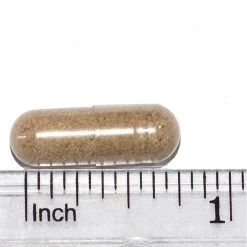 Only Natural Pet Kidney Support -Pet Dog Supplies Kidney Support Capusle Measured