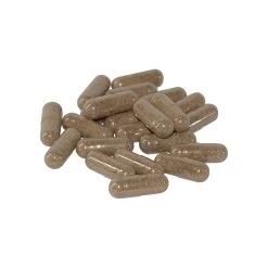 Only Natural Pet Kidney Support -Pet Dog Supplies Kidney Support Product