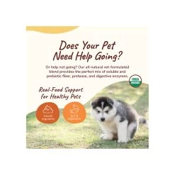 Kin + Kind Organic Healthy Poops Supplement For Cats & Dogs -Pet Dog Supplies KinKind HealthyPoops Alt1