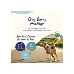 Kin + Kind Organic Healthy Immunity Supplement For Cats & Dogs -Pet Dog Supplies KinKind Immunity Alt1