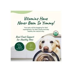 Kin + Kind Organic Healthy Skin & Coat Supplement For Cats & Dogs -Pet Dog Supplies KinKind Skin Coat Alt1