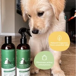 Kin + Kind Flea & Tick Shampoo For Dogs & Cats 17 Kin + Kind Flea & Tick Shampoo For Dogs & Cats -Pet Dog Supplies Kin Kind Lavender Shampoo 2