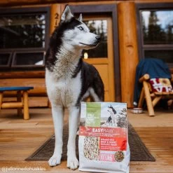 Only Natural Pet EasyRaw Grass-Fed Beef & Sweet Potato Feast Dehydrated Dog Food -Pet Dog Supplies ONPEasyRawGrassFedBeefandSweetPotatoFeastLifestyle