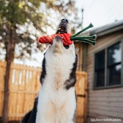 Only Natural Pet Eco-Friendly Regenerated Cotton Carrot Dog Toy -Pet Dog Supplies ONPEcoFriendlyRegeneratedCottonCarrotDogToyLifestyleImage2