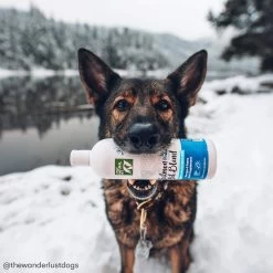 Only Natural Pet Wild Alaskan Salmon Oil Blend For Dogs & Cats -Pet Dog Supplies ONPWildAlaskanSalmonOilBlendLifestyle2