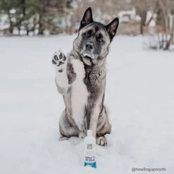 Only Natural Pet Wild Alaskan Salmon Oil Blend For Dogs & Cats -Pet Dog Supplies ONPWildAlaskanSalmonOilBlendforDogs Cats