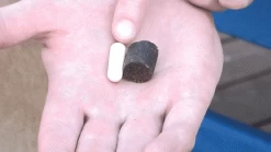 Only Natural Pet Probiotic Blend -Pet Dog Supplies OnlyNaturalPetProbioticBlendforDogs Cats low