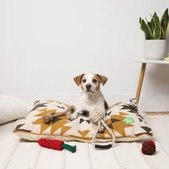 Only Natural Pet Eco-Friendly Regenerated Cotton Carrot Dog Toy -Pet Dog Supplies OnlyNaturalPetRegeneratedCottonBedLifestyleShotv2 777fb950 981c 4891 8f52 74f0b694cbb4