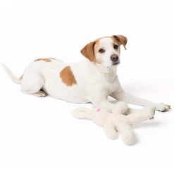 Only Natural Pet Organic Plush Rabbit Dog Toy -Pet Dog Supplies OnlyNaturalPetRegeneratedCottonPlushBunnyDogToywDog