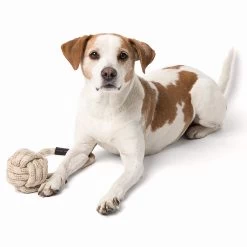 Only Natural Pet Eco-Friendly Regenerated Cotton Ball & Rope Dog Toy -Pet Dog Supplies OnlyNaturalPetRegeneratedCottonRopeandBallToywDog