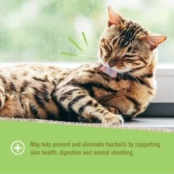 Pet Naturals Soft Chew Hairball Treats For Cats -Pet Dog Supplies PetNaturalsofVermontHairballSoftChews30ctInfographic4