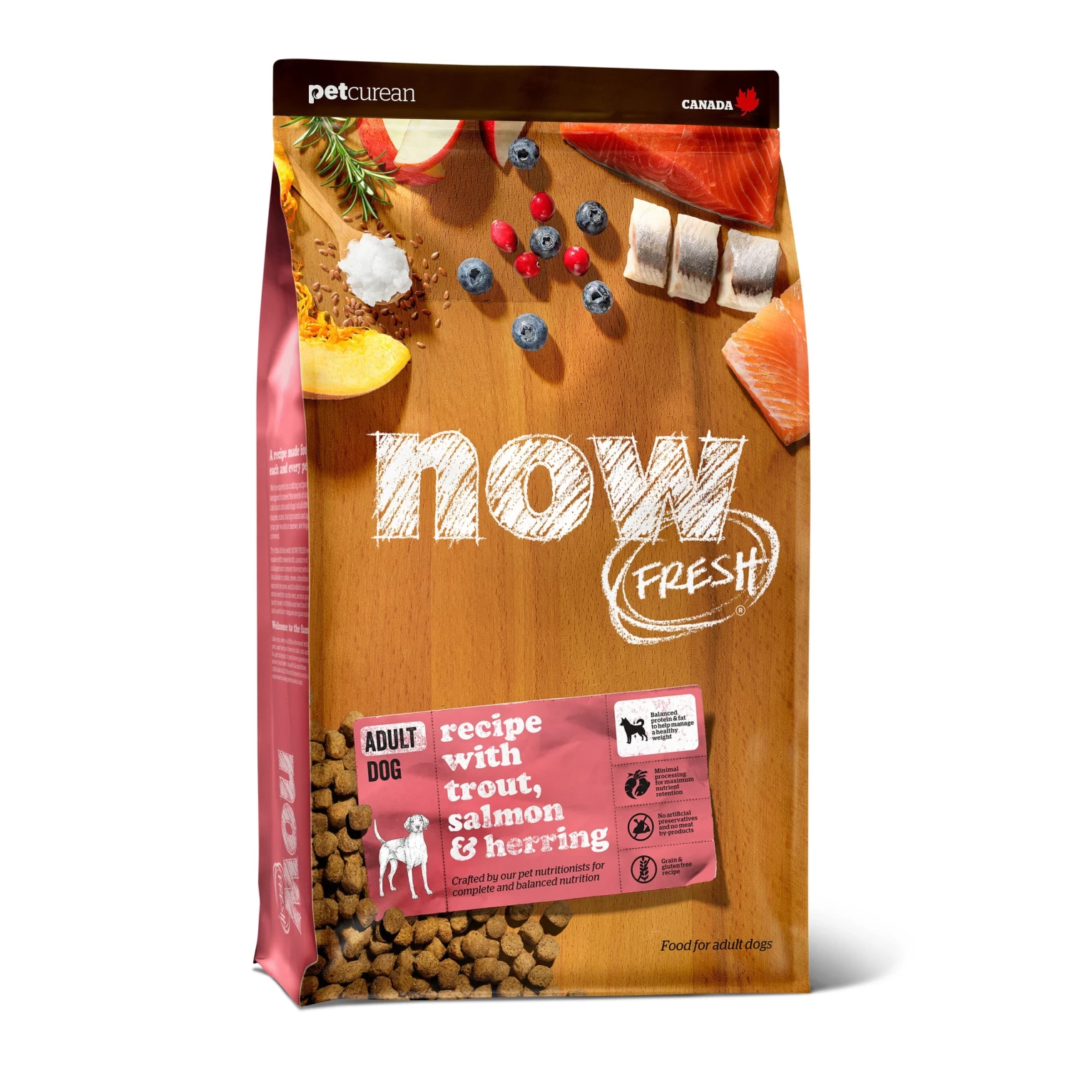 Petcurean NOW! Fresh Grain-Free Dry Dog Food 1 Petcurean NOW! Fresh Grain-Free Dry Dog Food