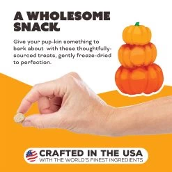 Primal Pet Foods Freeze-Dried Dog Treats -Pet Dog Supplies PrimalPetFoodsFreeze DriedDogTreatsPumpkinformyPumpkinNewLifestyle