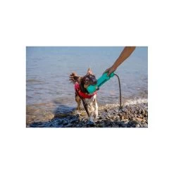 Ruffwear Lunker Water Toy For Dogs -Pet Dog Supplies RW Lunker Aurora Teal Lifestyle