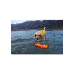 Ruffwear Lunker Water Toy For Dogs -Pet Dog Supplies RW LunkerOrange Lifestyle