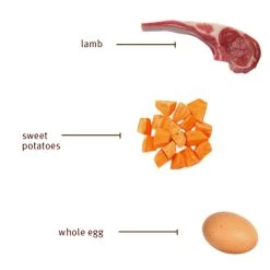 Sojos Complete Grain-Free Dog Food Mix 28 Sojos Complete Grain-Free Dog Food Mix -Pet Dog Supplies SojosCompleteGrainFreeDogFoodMixLambInfographic2