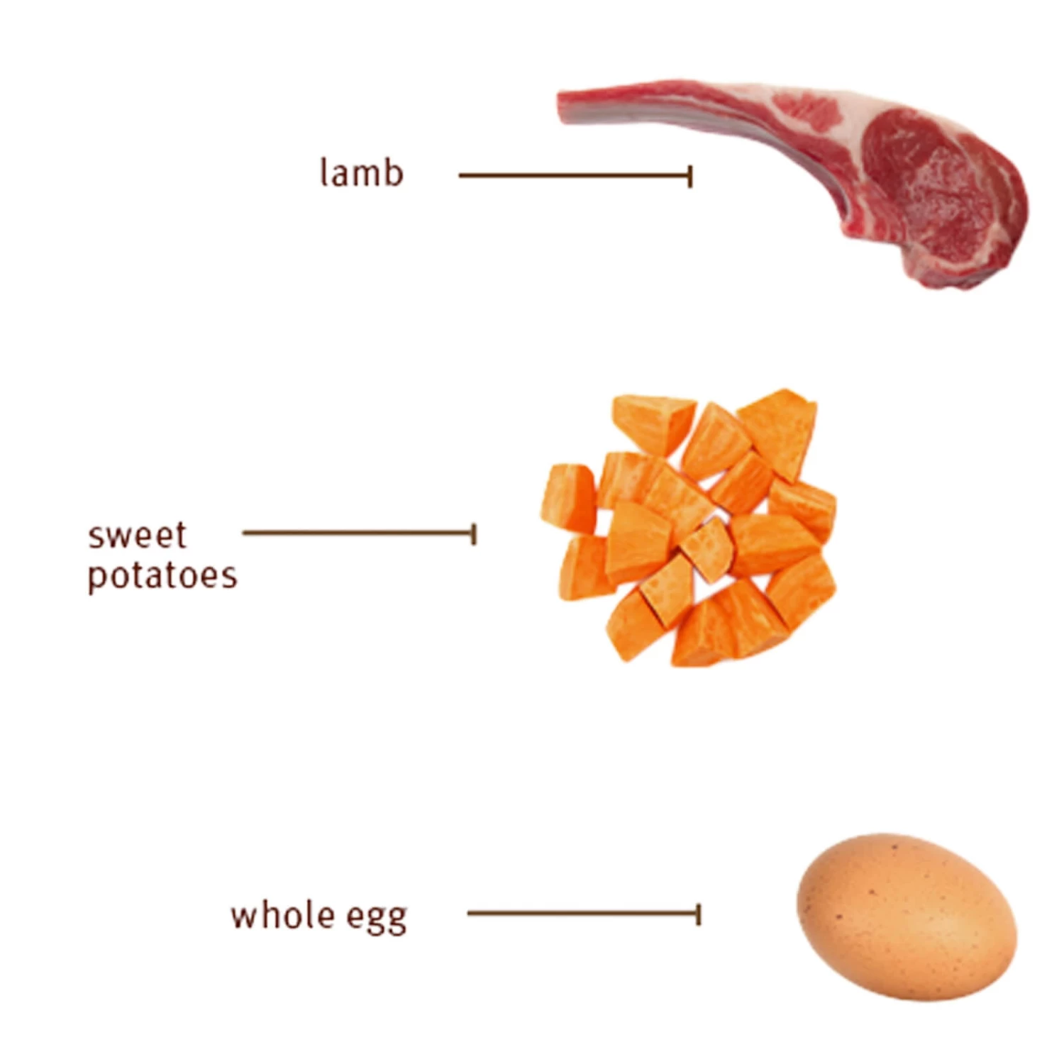 Sojos Complete Grain-Free Dog Food Mix 10 Sojos Complete Grain-Free Dog Food Mix - Image 10