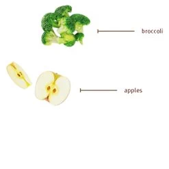 Sojos Complete Grain-Free Dog Food Mix 35 Sojos Complete Grain-Free Dog Food Mix -Pet Dog Supplies SojosCompleteGrainFreeDogFoodMixTurkeyInfographic