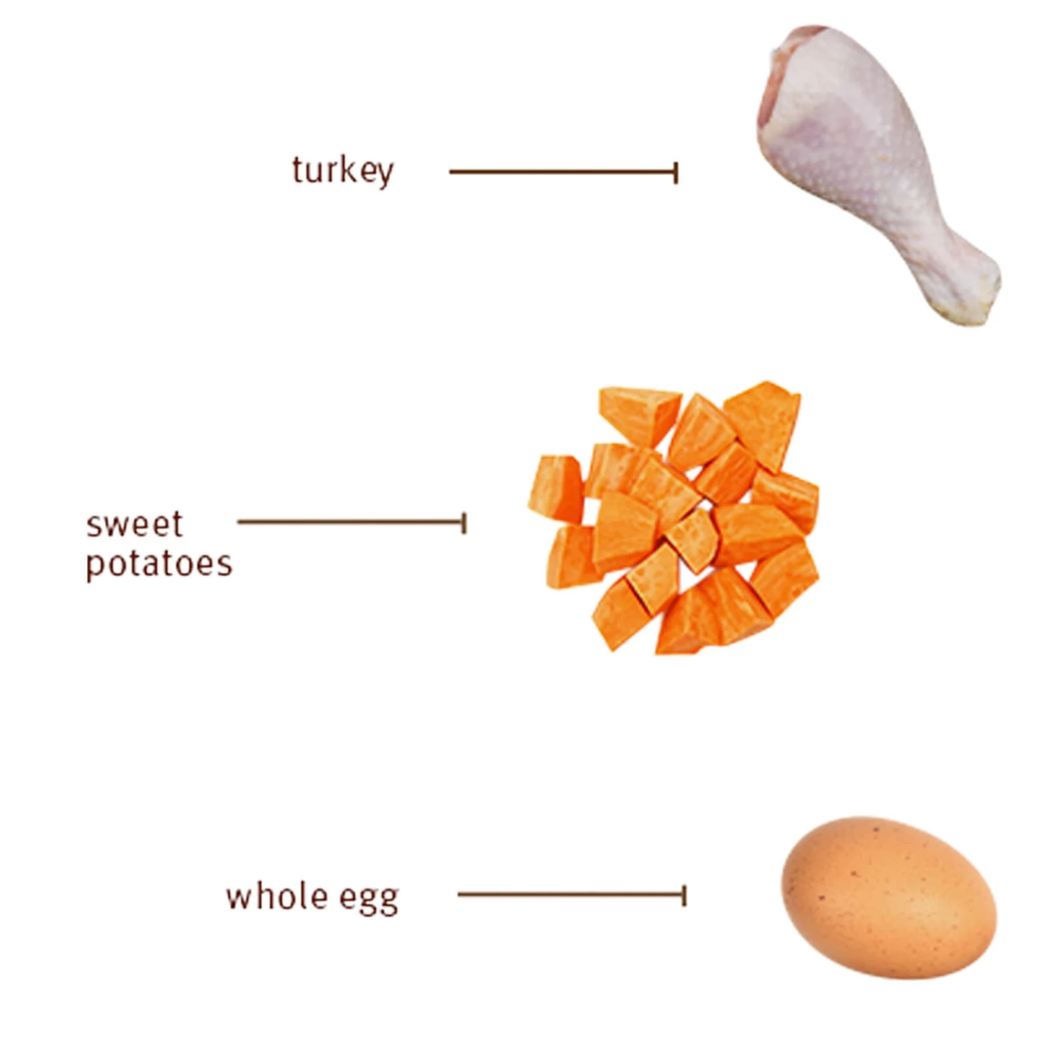 Sojos Complete Grain-Free Dog Food Mix 14 Sojos Complete Grain-Free Dog Food Mix - Image 14