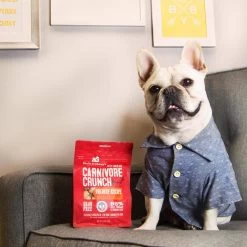 Stella & Chewy's Carnivore Crunch Training Treats -Pet Dog Supplies Stella Chewy sCarnivoreCrunchTrainingTreatsBeefLifestyleImage 1