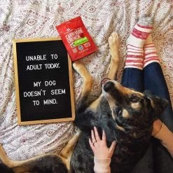 Stella & Chewy's Carnivore Crunch Training Treats -Pet Dog Supplies Stella Chewy sCarnivoreCrunchTrainingTreatsDuckLifestyleImage 1