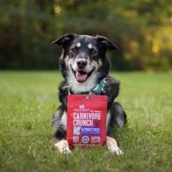 Stella & Chewy's Carnivore Crunch Training Treats -Pet Dog Supplies Stella Chewy sCarnivoreCrunchTrainingTreatsTurkeyLifestyleImage 1