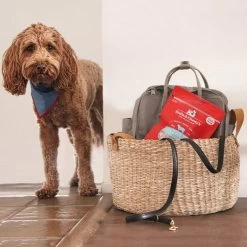 Stella & Chewy's Freeze-Dried Raw Single Ingredient Treats 32 Stella & Chewy's Freeze-Dried Raw Single Ingredient Treats -Pet Dog Supplies Stella Chewy sFreeze DriedRawSingleIngredientTreatsLambLiverLifestyleImage