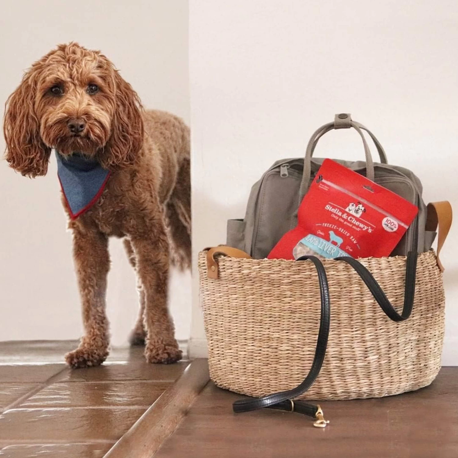 Stella & Chewy's Freeze-Dried Raw Single Ingredient Treats 13 Stella & Chewy's Freeze-Dried Raw Single Ingredient Treats - Image 13