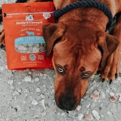 Stella & Chewy's Freeze-Dried Raw Single Ingredient Treats 31 Stella & Chewy's Freeze-Dried Raw Single Ingredient Treats -Pet Dog Supplies Stella Chewy sFreeze DriedRawSingleIngredientTreatsLambLiverLifestyleImage2