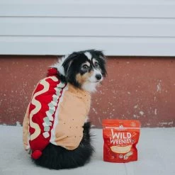 Stella & Chewy's Wild Weenies Raw Freeze-Dried Dog Treats -Pet Dog Supplies Stella Chewy sWildWeeniesRawFreeze DriedDogTreatsChickenRecipeLifestyleImage b038eba9 252c 42c2 b8c4 d3b444f56465